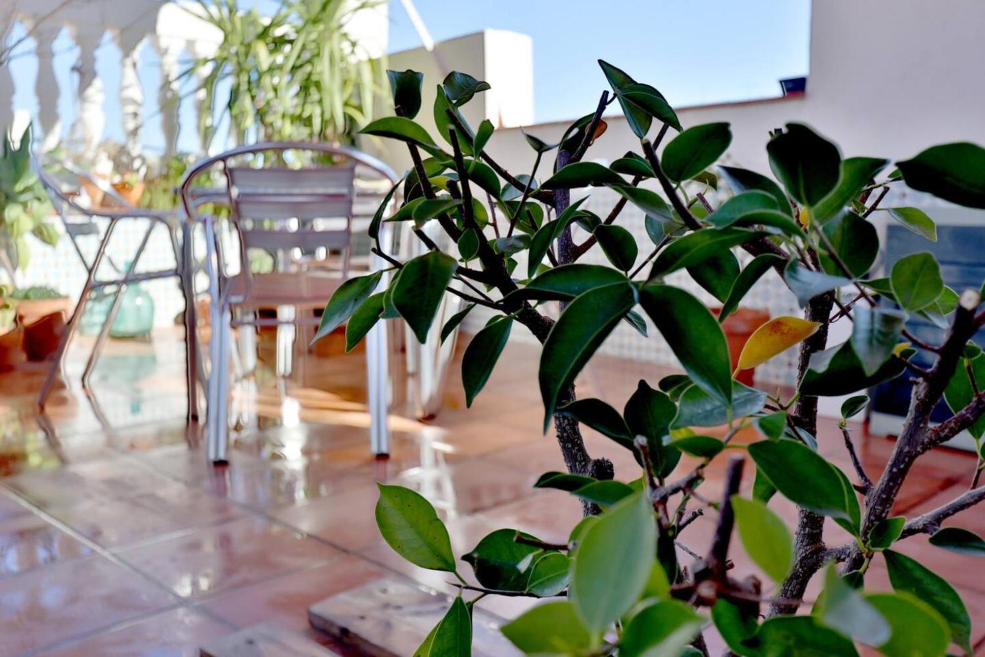 Апартаменты Atico Con Terraza En Pleno Centro Кордова Экстерьер фото